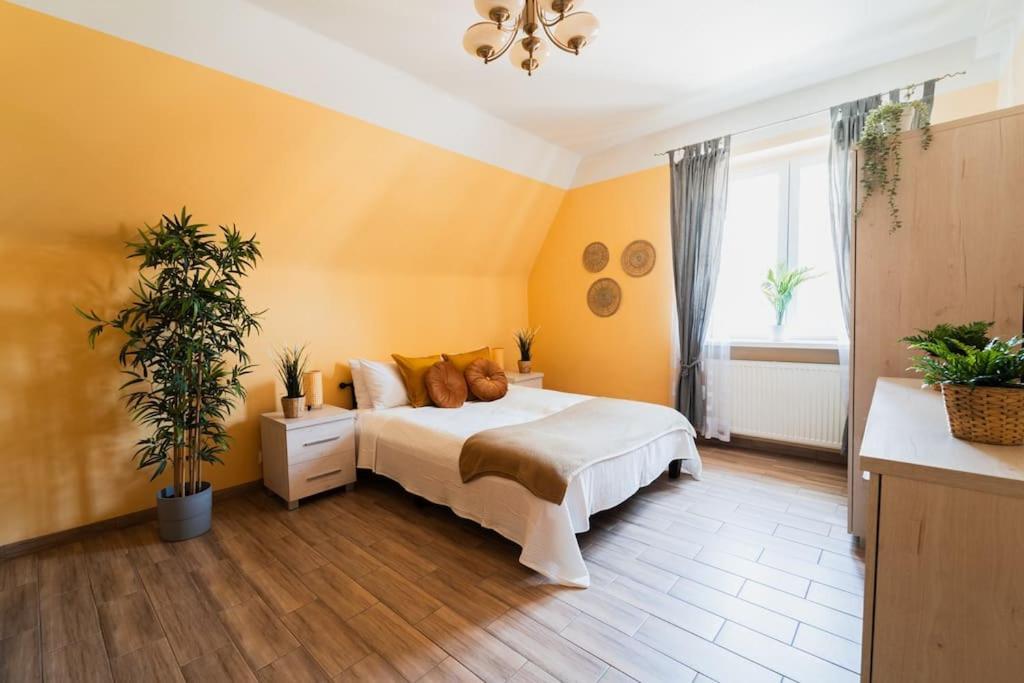 Market Square - Street Rynek 24 -2 Rooms Breslavia Exterior foto